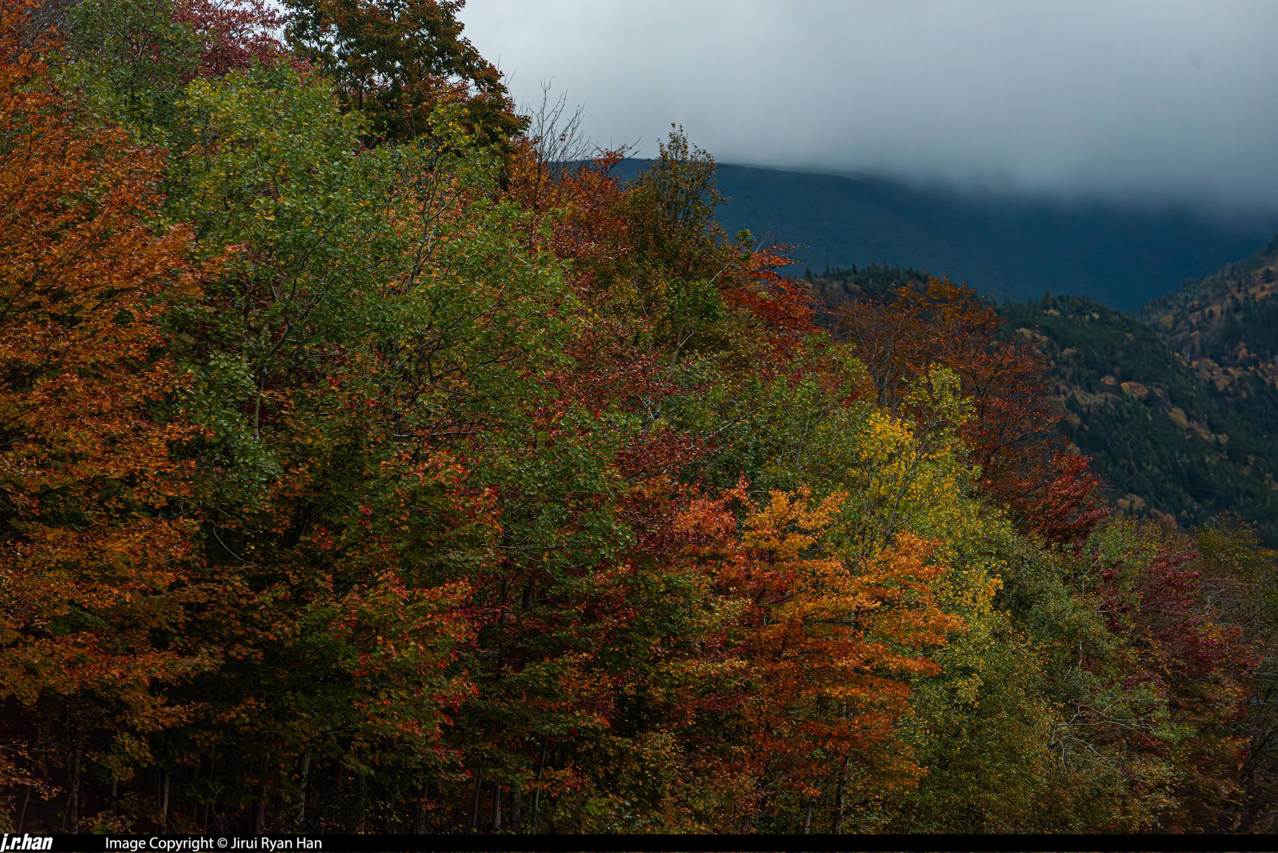 UNTITLED · 2023 · DIGITAL CAMERA